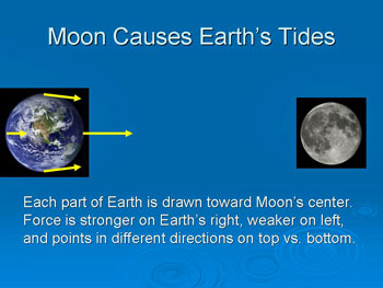 Moon Causes Earth's Tides