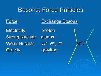 Bosons: Force Particles