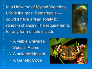 Life is the most remarkable wonder in the universe.