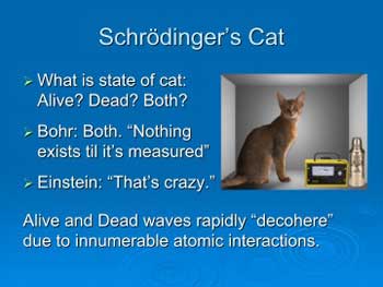 Einstein and Quantum Mechanics - Part 2 - Schrodinger's Cat