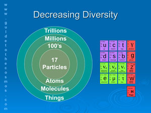 Decreasing diversity in nature.