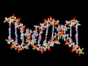 Double Helix